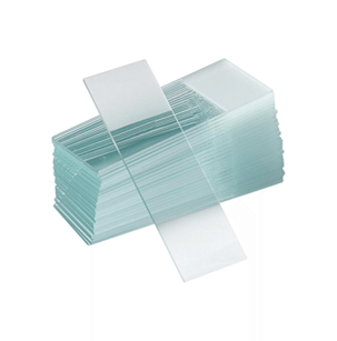 Microscope slide 01