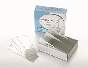 Microscope slide 02